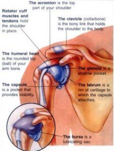 Rotator Cuff & Shoulder Pain - Advanced Sports & Family Chiropractic & Acupuncture