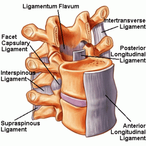 Disc Decompression Therapy - Advanced Sports & Family Chiropractic &  Acupuncture